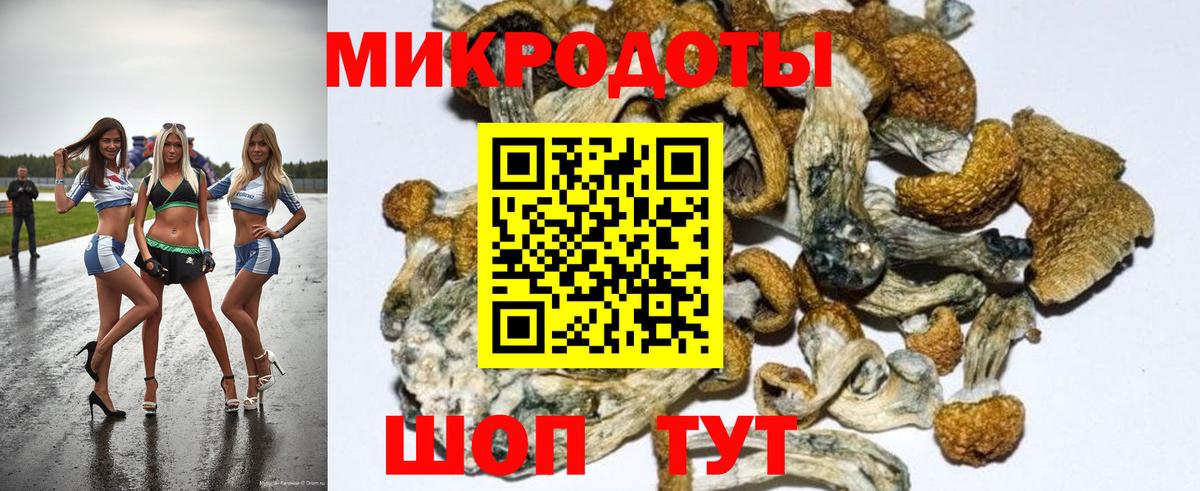 Скопин  наркотики  Псилоцибиновые грибы мицелий  Вход с VPN  Псилоцибиновые грибы мицелий 